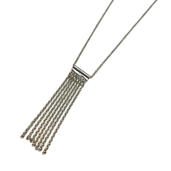 Touch of Silver Long Chain Necklace w/ Chain Fringe Accents, NWT! - Picture 1 of 3